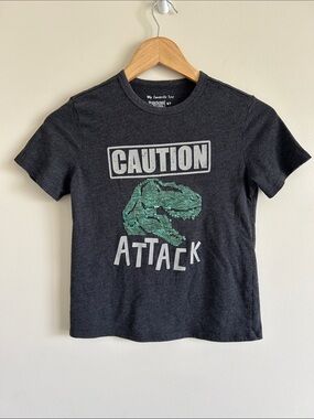 Boys 6/7 Dinosaur Sequin Gray Green T Shirt
